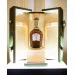 Chivas Icon