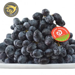 Nho Nam Phi Nho Nam Phi