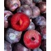 Mận Đen 1kg