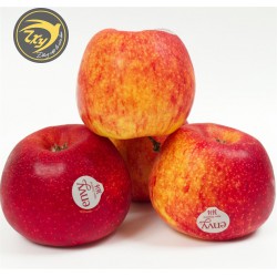 Táo Envy Mỹ Size 100