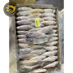 Cá đù đông lạnh Cá đù đông lạnh