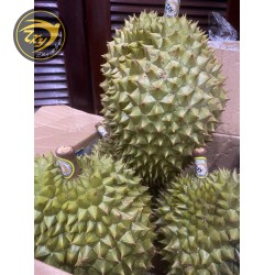 Sầu Riêng Ri 6 Nguyên Trái ( 1kg )