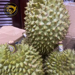 Sầu Riêng Ri 6 Nguyên Trái ( 1kg ) Sầu Riêng Ri 6 Nguyên Trái ( 1kg )