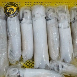 Mực lá tươi cấp đông Mực lá tươi cấp đông