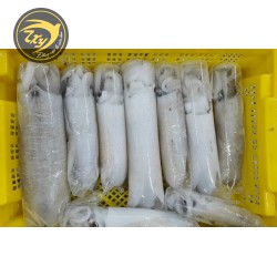 Mực lá tươi cấp đông