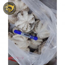 Bạch tuột sạch Bạch tuột sạch