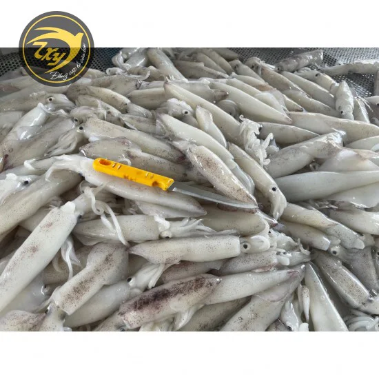 Mực ống sạch Mực ống sạch