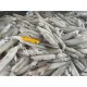 Mực ống sạch Mực ống sạch