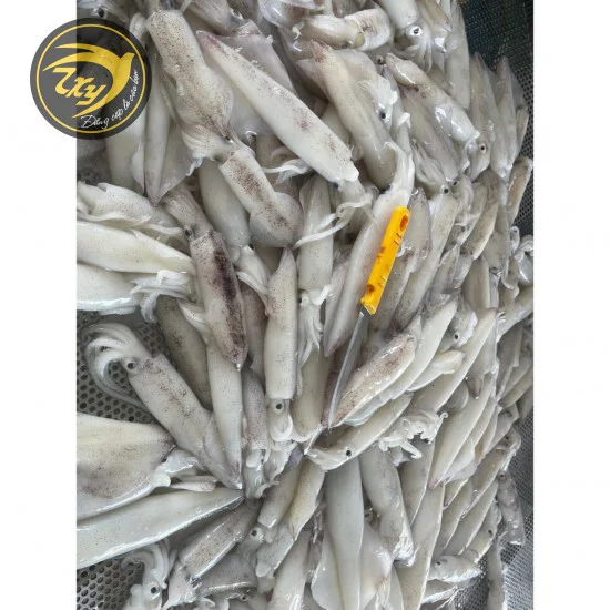 Mực ống sạch Mực ống sạch