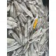 Mực ống sạch Mực ống sạch