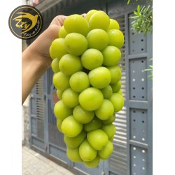 Nho Xanh