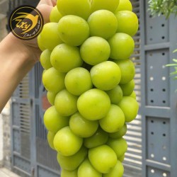 Nho Xanh Nho Xanh