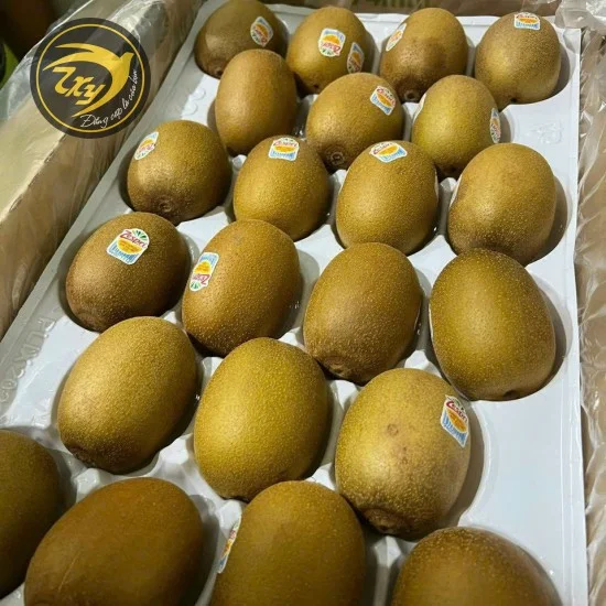 KiWi KiWi