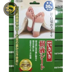 Miếng Dán Thải Độc Chân Nhật Bản