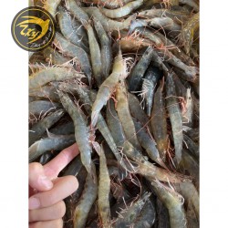 Tôm thẻ chân trắng đông lạnh Tôm thẻ chân trắng đông lạnh