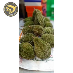 Sáu hữu nguyên trái