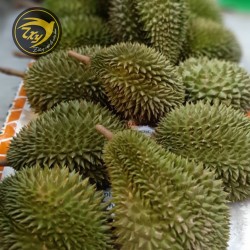 Sáu hữu nguyên trái Sáu hữu nguyên trái