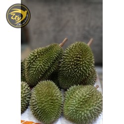 Sáu hữu nguyên trái