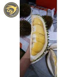 Sáu hữu tách cơm