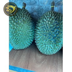 Chuồng bò - nguyên trái