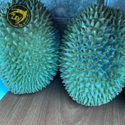 Chuồng bò - nguyên trái Chuồng bò - nguyên trái