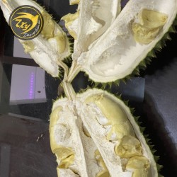 Chuồng bò - tách cơm Chuồng bò - tách cơm