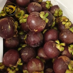 Măng cụt loại 14-15 trái/kg Măng cụt loại 14-15 trái/kg