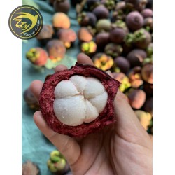 Măng cụt loại 9-10 trái/kg