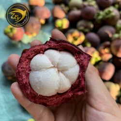 Măng cụt loại 9-10 trái/kg Măng cụt loại 9-10 trái/kg