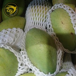 Xoài cát Hòa Lộc Xoài cát Hòa Lộc